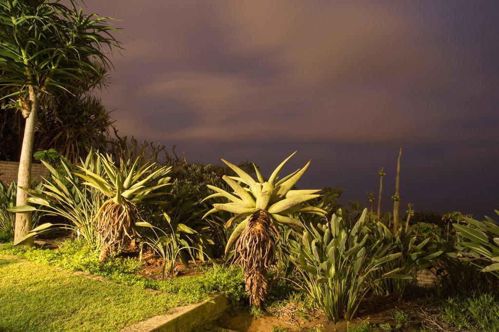 Misty Blue Bed And Breakfast Durban Exterior foto