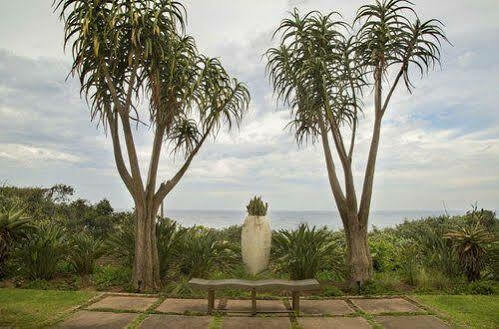 Misty Blue Bed And Breakfast Durban Exterior foto